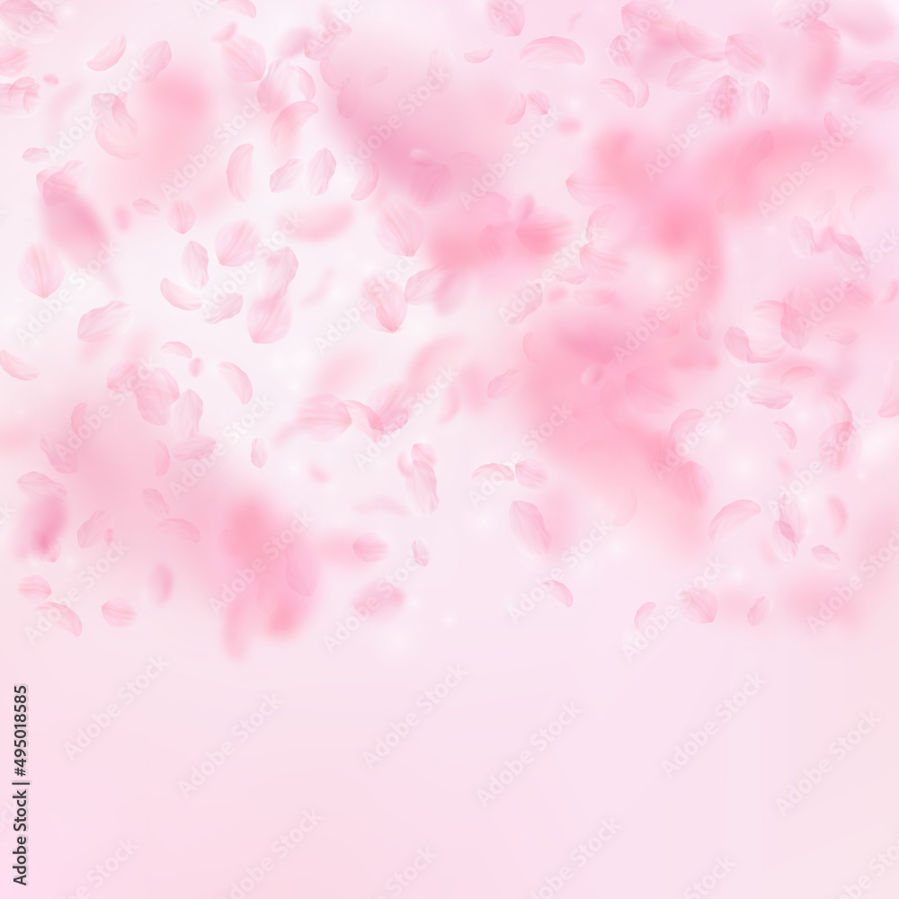 Sakura petals falling down. Romantic pink flowers gradient. Flying petals on pink square background. Love, romance concept. Astonishing wedding invitation.