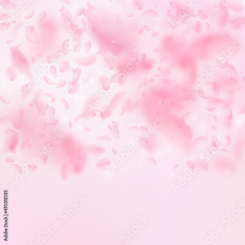 Sakura petals falling down. Romantic pink flowers gradient. Flying petals on pink square background. Love, romance concept. Astonishing wedding invitation.