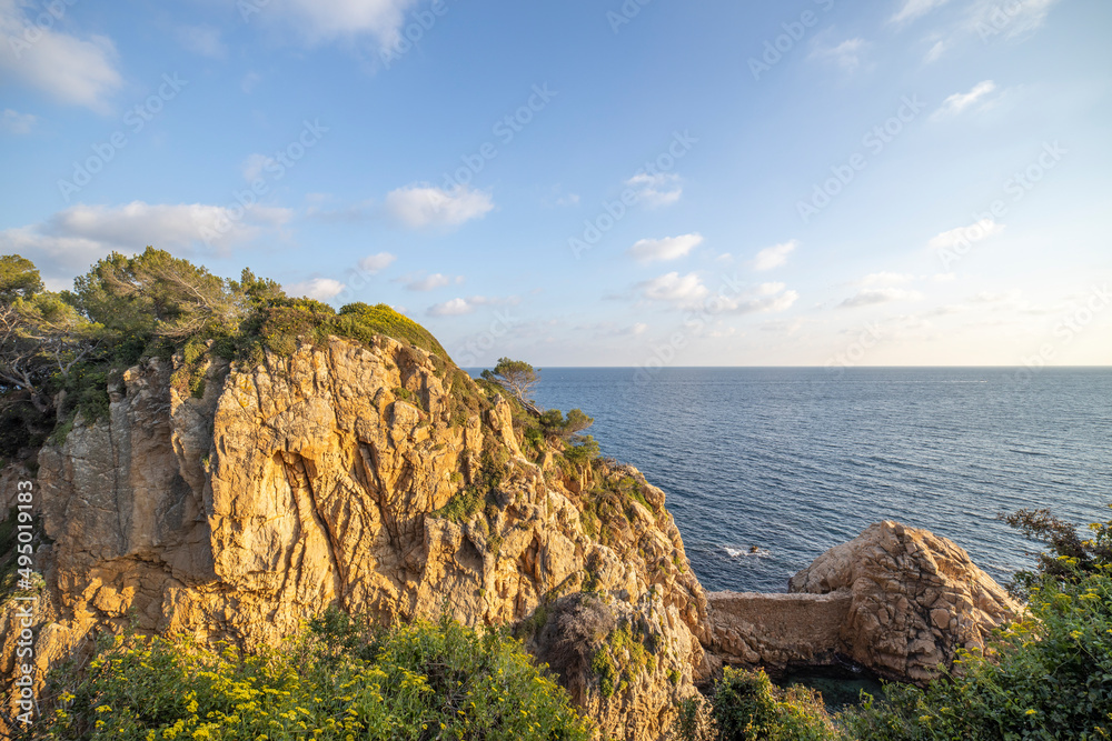 Scenic sea view on a sunny day. Bright greenery and azure sea. Mediterranean Sea, Costa Brava, Spain.
