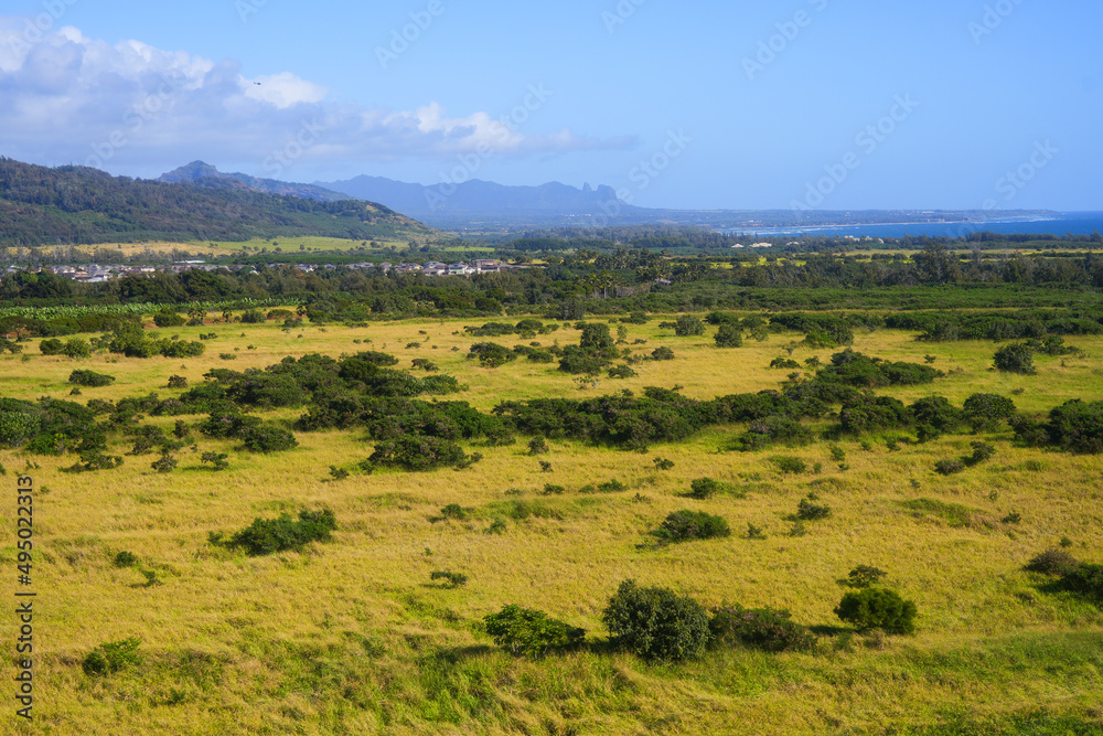 Aerial view of grasslands north of Lihue on Kauai island, Hawaii, United States