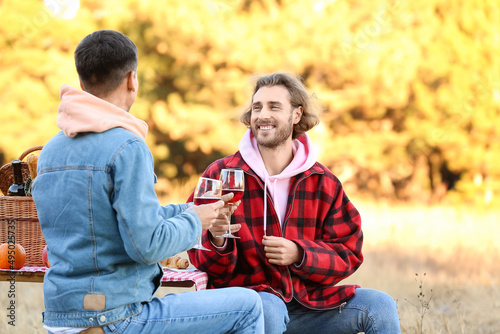 Happy gay couple having picnic outdoors © Pixel-Shot