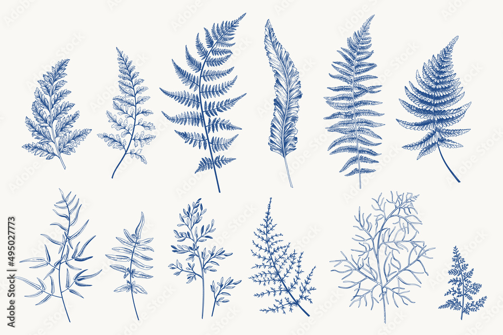 Set with fern leaves.  Blue.