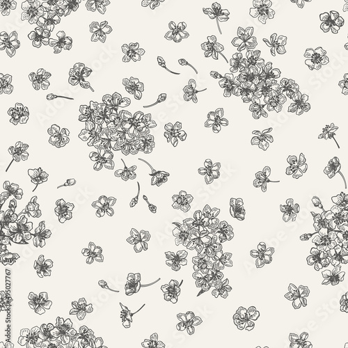 Seamless pattern with cherry flowers.