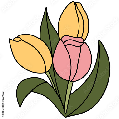 tulip flower hand-drawn flat color illustration for web, wedsite, application, presentation, Graphics design, branding, etc. photo