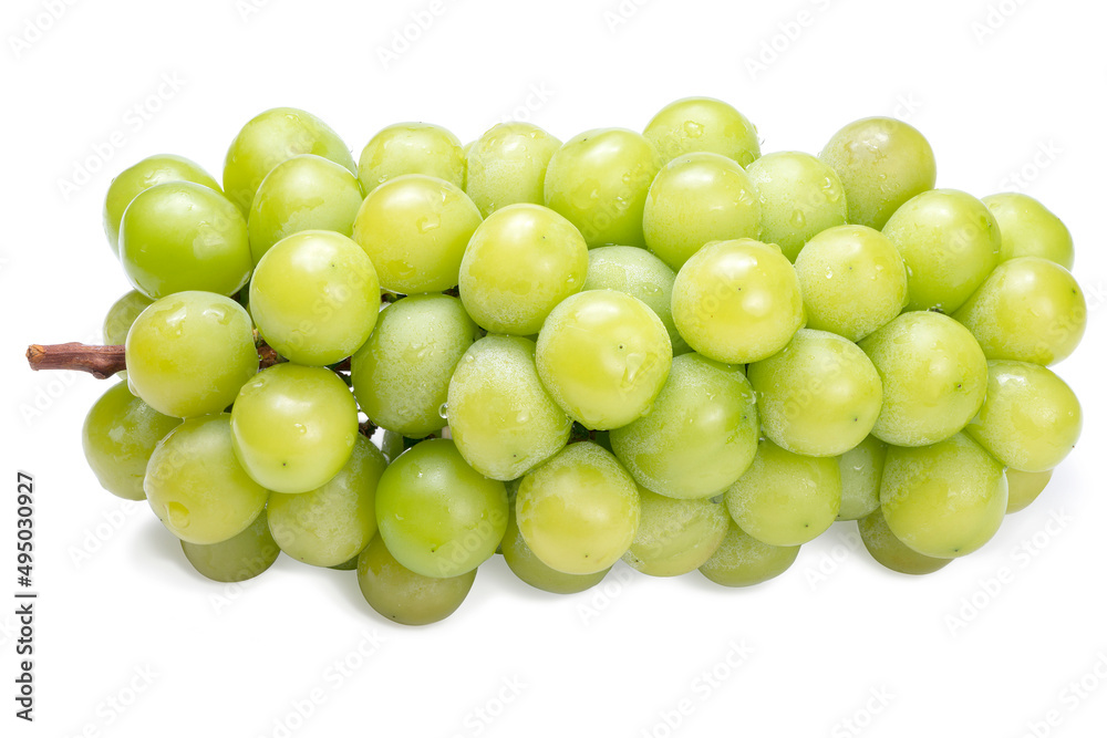 Fresh Organic Shine Muscat, Green Grapes isolated on white background with clipping path. Fresh Organic Shine Muscat, Green Grapes isolated on white background with clipping path.