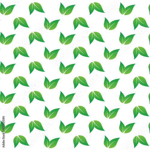 a green pattern of leaves spreading on white background