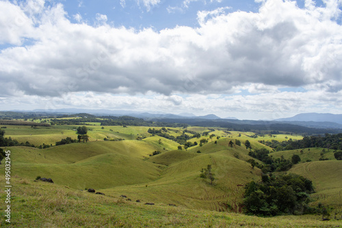 Rolling Hills in the Atherton Tablelands  Queensland  Australia .