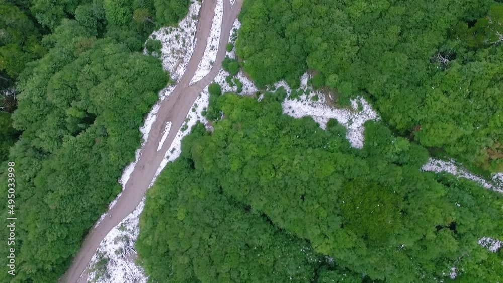Aerial view of the road across the green forest in winter. Aerial view of the road across the green forest in winter.