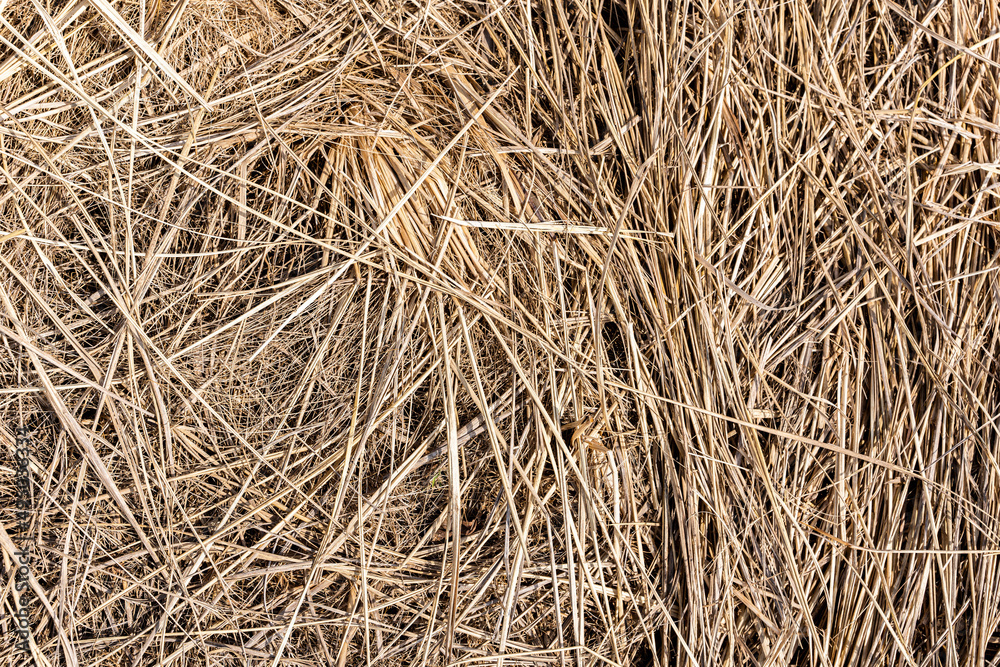 Hay texture. Bales of hay are stacked in large staffs. Harvesting in agriculture. Hay texture. Bales of hay are stacked in large staffs. Harvesting in agriculture.