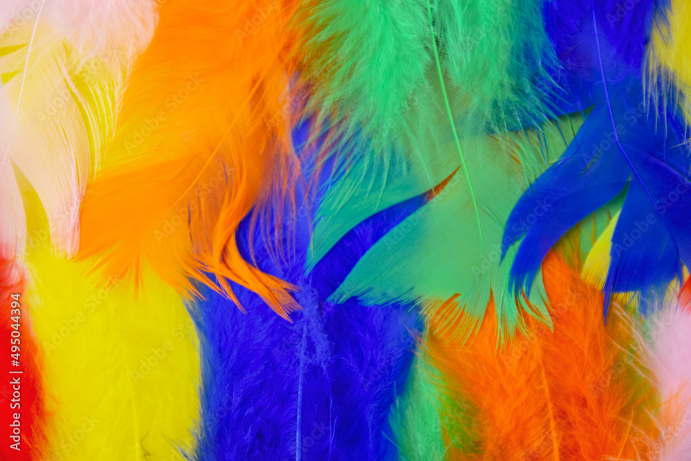 colored feathers in various combinations, children's toy colored feathers in various combinations, children's toy