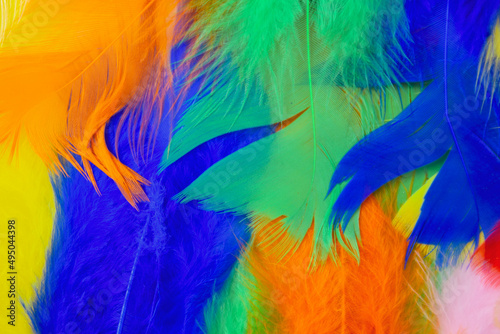 colored feathers in various combinations  children s toy 