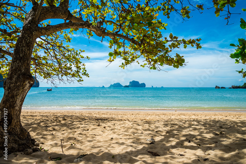 Beautiful tropical Ton Sai beach Krabi Thailand. Tropical summer beach holiday concept. © pla2na