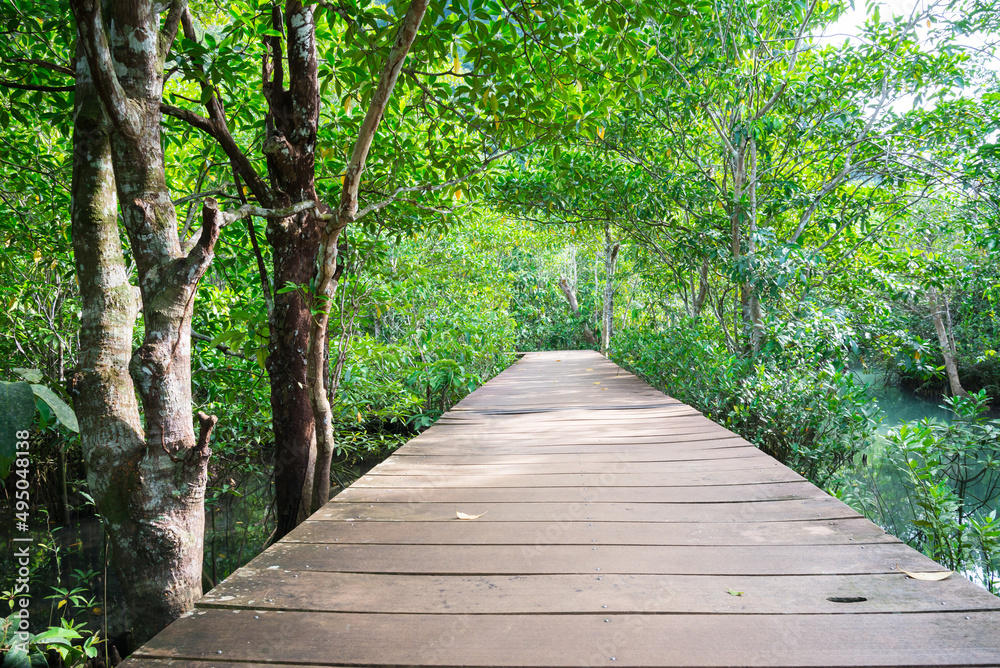 Walkway in Khlong Song Nam mangrove forests, Krabi Thailand. Environmental and nature concept.