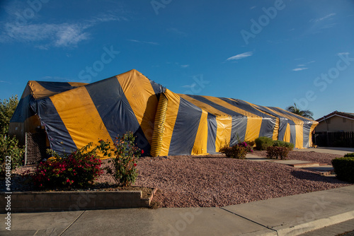 Ranch style House covered in yellow and blue termite tent photo