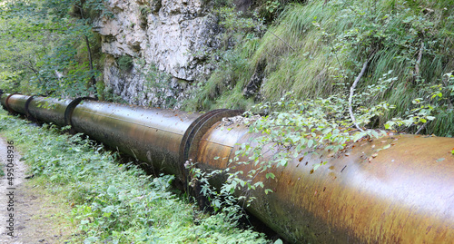 metal pipe for transporting the liquid in the forest photo
