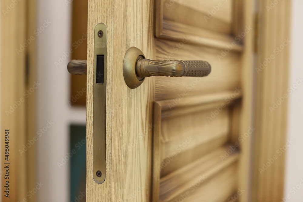 Obraz premium the door in the house with a beautiful handle. it's nice to open and close the door. modern design, expensive and beautiful door fittings