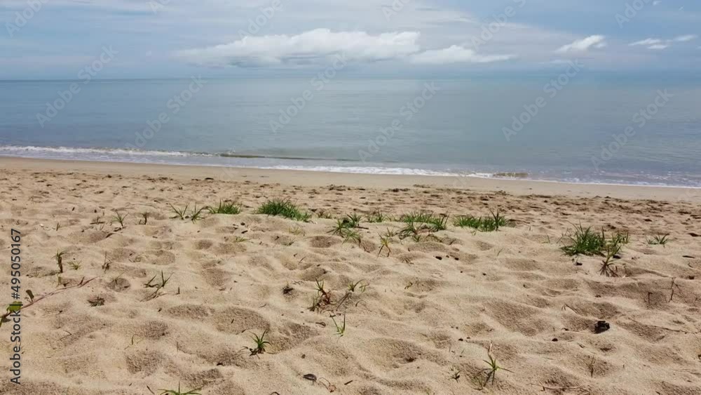 sand dunes on the beach sand dunes on the beach