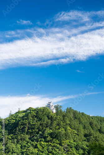 城山に郡上八幡城