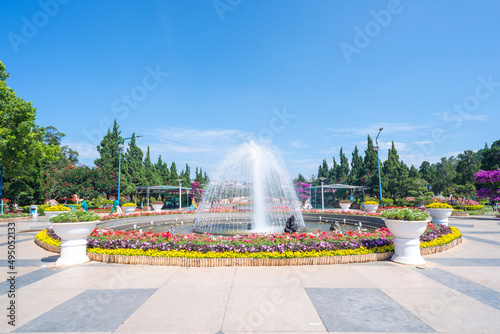 Natural photo: Colorful flower paintings. Time: March 19, 2022. Location: flower garden in Dalat city. This is the place where many famous flowers are grown