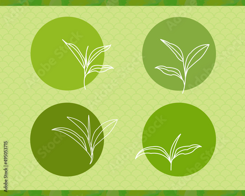 Natural style matcha tea leaves. Hand drawn pattern on Japanese style background texture