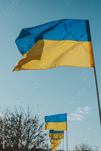 The flags of Ukraine are the national symbol fluttering in the blue sky. Lots of yellow and blue state flags of Ukraine.