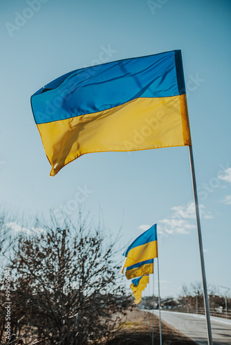The flags of Ukraine are the national symbol fluttering in the blue sky. Lots of yellow and blue state flags of Ukraine.