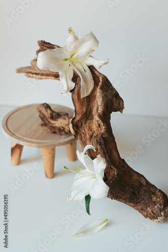 Fototapeta Naklejka Na Ścianę i Meble -  Piece of driftwood isolated on white with white lilies