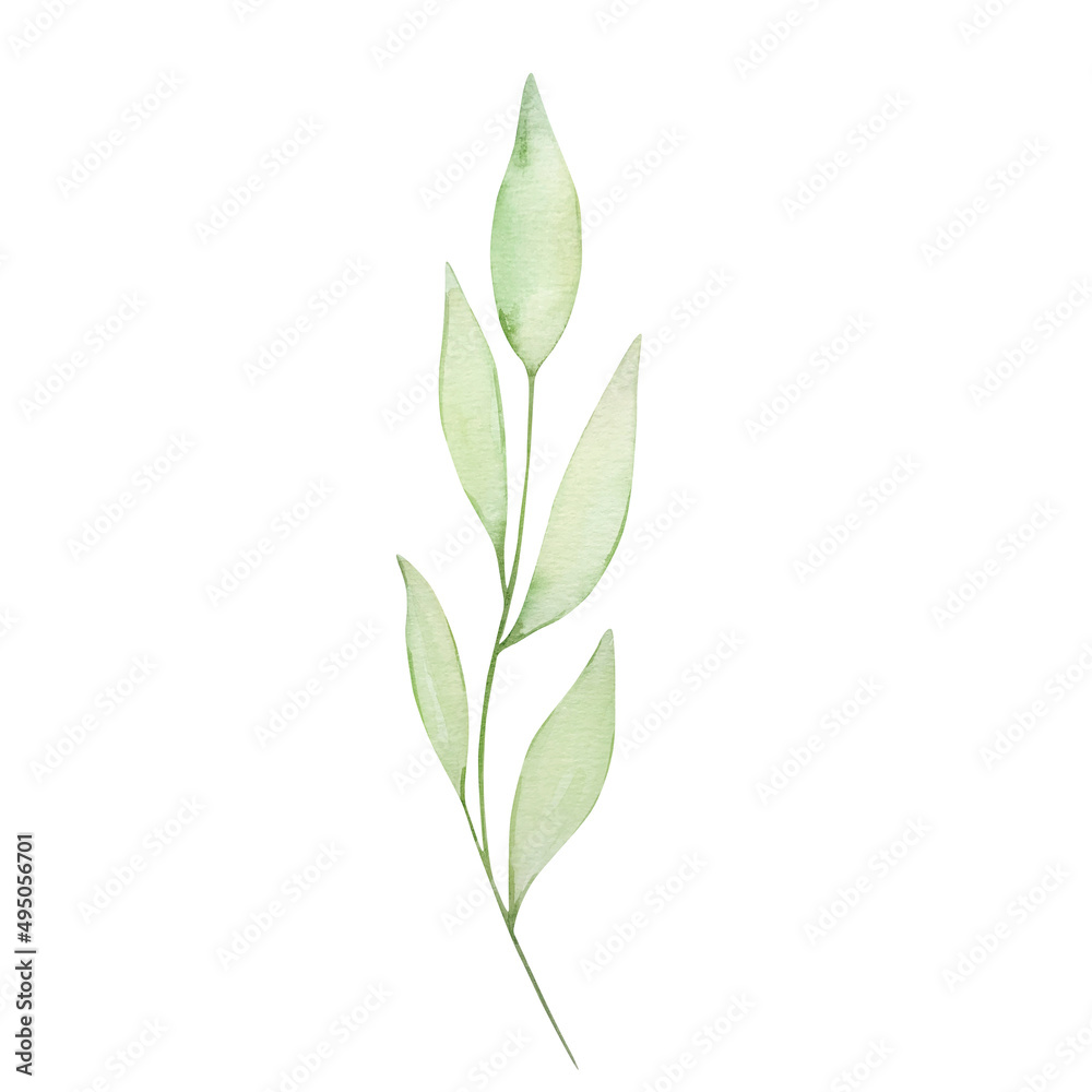 Watercolor green leaves Watercolor green leaves