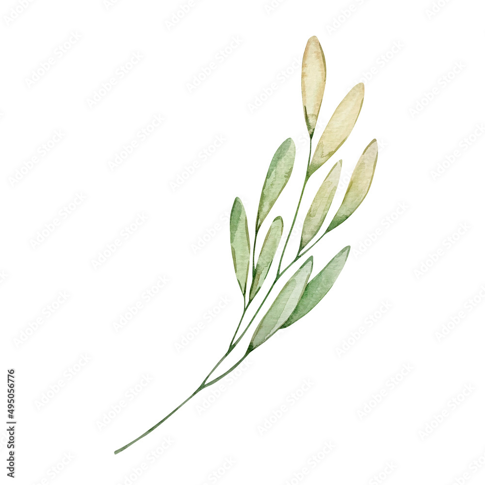 Obraz premium Watercolor spring branch