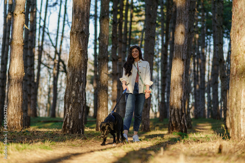 Fototapeta premium A smiling young attractive woman playing and walking with her Labrador puppy in a city park. The concept of pet and animal care.
