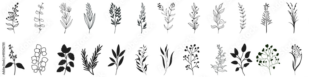 Fototapeta premium Herbs icon vector set. herbarium illustration sign collection. herb symbol. plant logo.