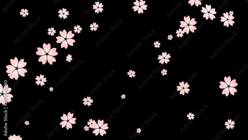 爆発する桜の花 爆発する桜の花