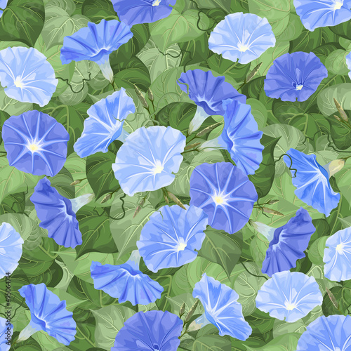 Summer flowers of morning glory, seamless vector pattern.