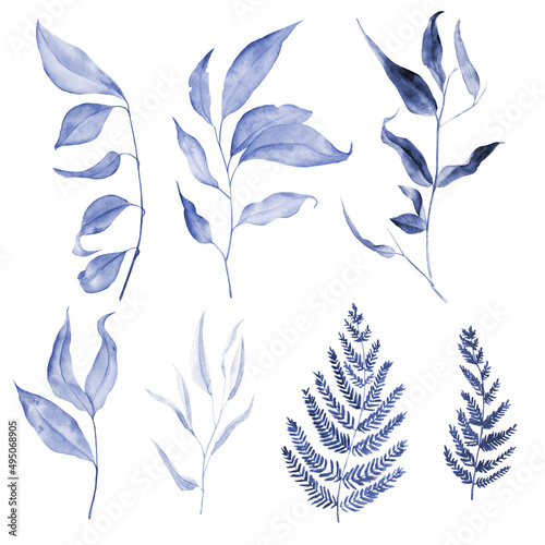 Watercolor set of blue branches and ferns on a white background