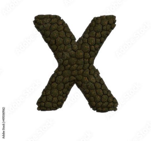 Reptile Skin Font Letter X
