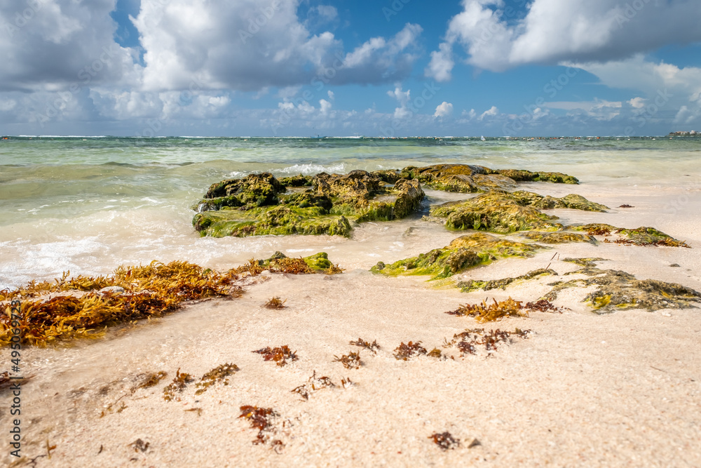 Fototapeta premium Paradise beach Akumal on the Caribbean coast of the Gulf of Mexico. White sand and azure clear water. Mexico, Riviera Maya