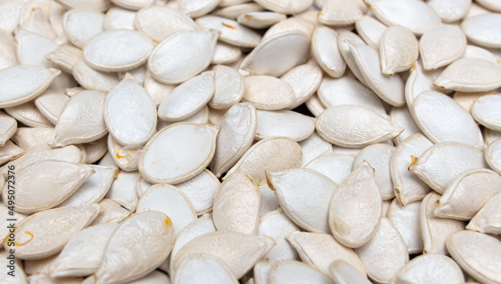 White pumpkin seeds as background. White pumpkin seeds as background.