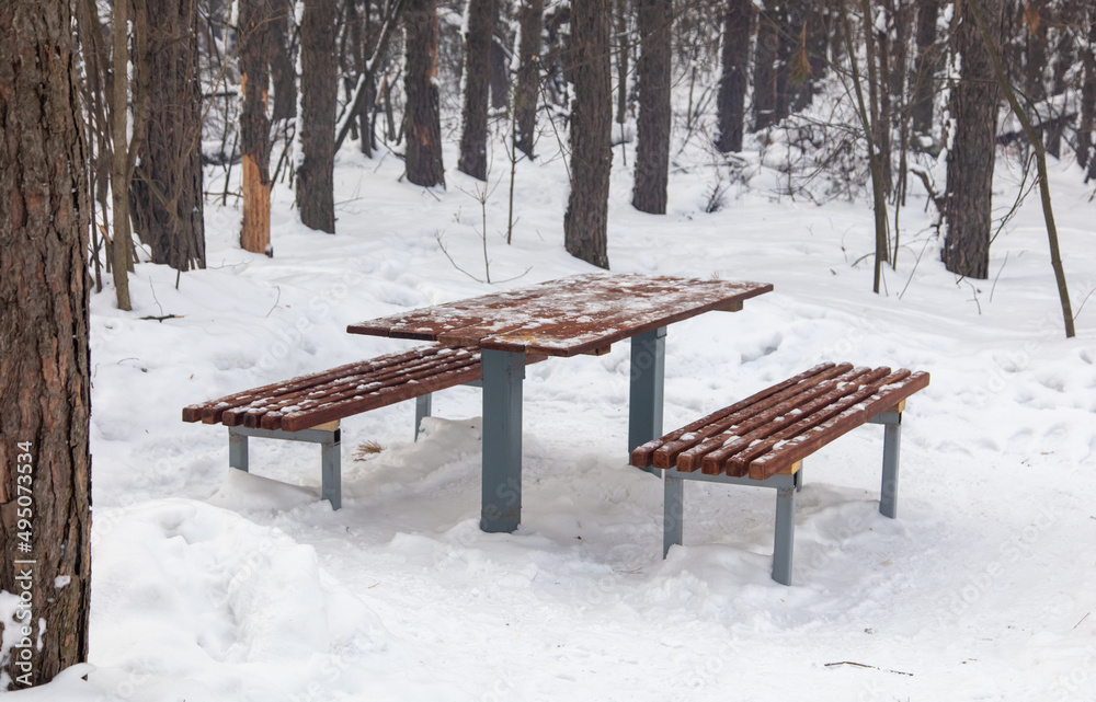Became and benches in the forest in the snow.