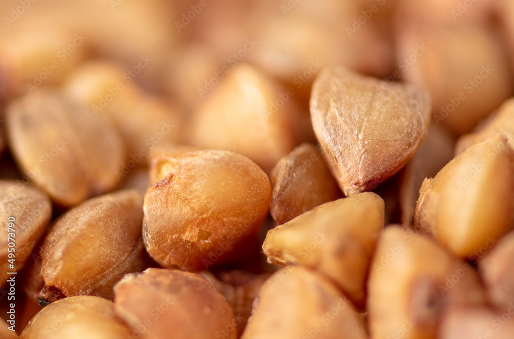 Close-up of buckwheat groats as background. Close-up of buckwheat groats as background.