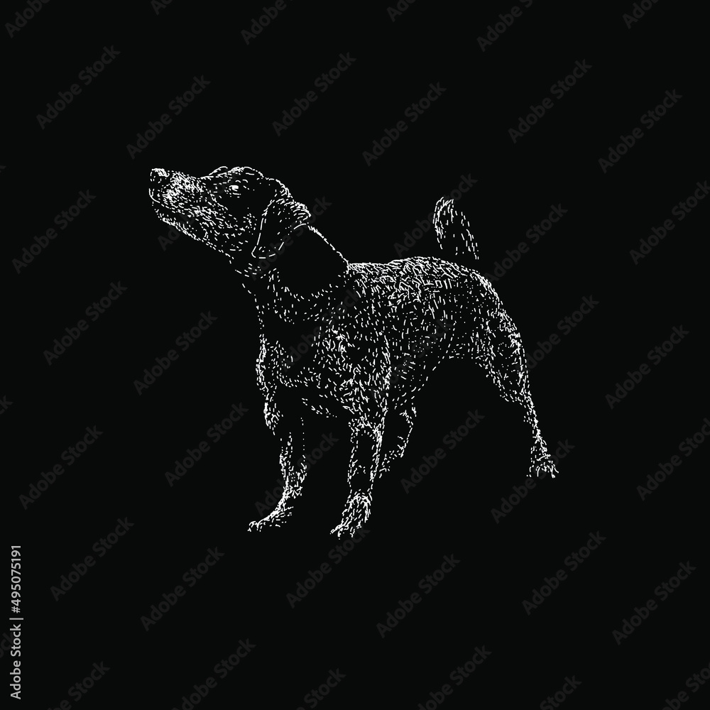 jack russell dog illustration isolated on black background jack russell dog illustration isolated on black background