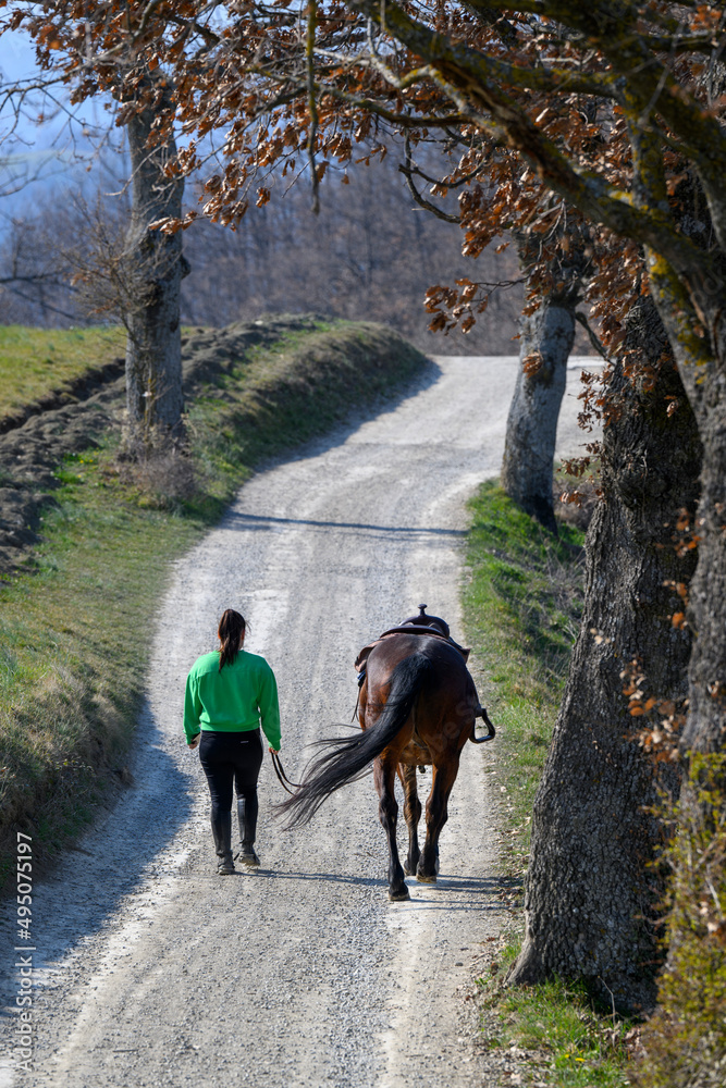 Obraz premium ragazza con cavallo