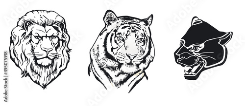 Tiger Löwe Panther  isolated on white background. 
illustration