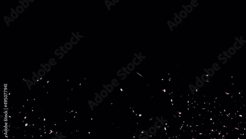 トランジション 桜吹雪（花びら写真）【動画素材】