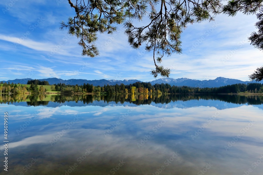 Schmutterweiher, reflection of trees in water, Bavarian lake