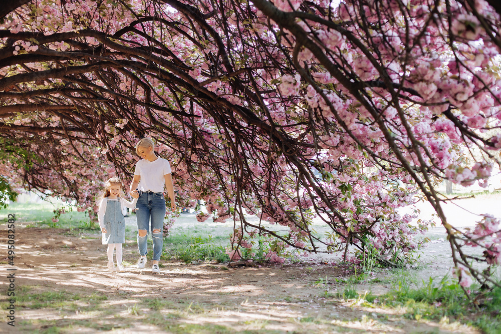Fototapeta premium Family (mother and children) on a spring city street under the branches of blooming pink sakura. Sakura blossomed. Young mother with baby having fun in the park near sakura.