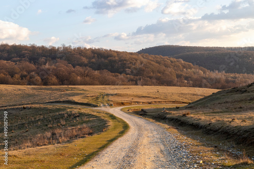The sunset seen from a country road