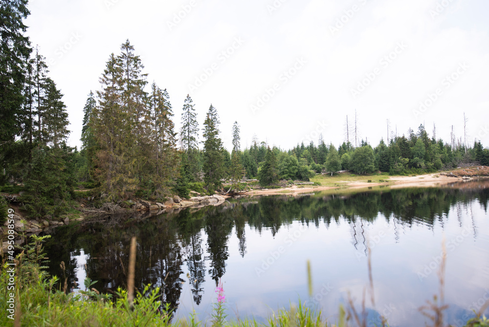 reflection of trees in water, harz 