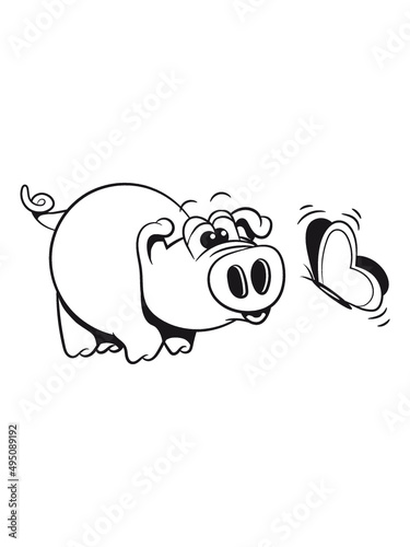 Schwein Ferkel Tier 