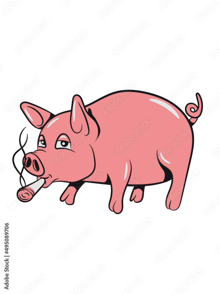 Schwein Ferkel Tier Schwein Ferkel Tier