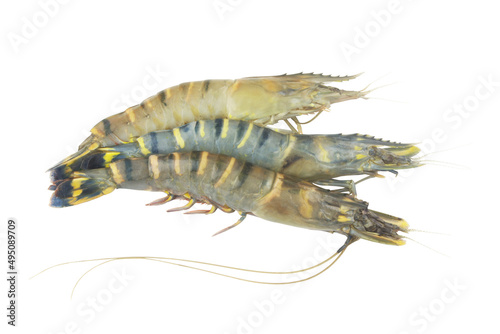 Three raw tiger shrimps isolated on white background